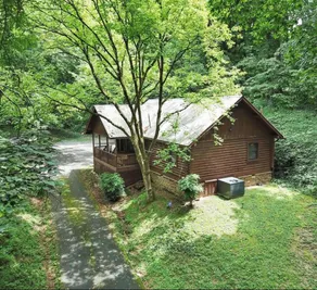 Walking distance to LeConte/Small Dogs allowed/ 2 - Image 5