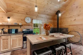 New Cabin w/Hot tub, Fire-pit, near Baseball camps - Image 5