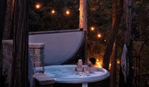 Ursus by Freewyld | Lodge Cabin + Hot Tub - Image 2