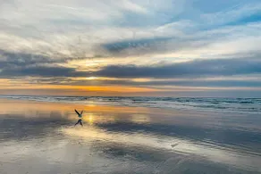 Dog-Friendly Beach House w/ Spectacular Ocean View - Image 2