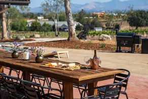 Deboem Vineyard | 20-Acre Organic Wine Retreat! - Image 3