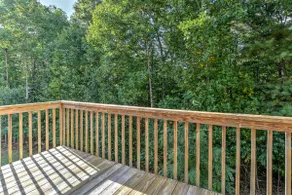 Bring Pets Fun South Asheville Hot Tub Home - Image 5