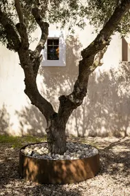 CAN NOVES-Favolosa villa in zona centrale e tranquilla - Image 5