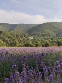 Eco Maset rural accommodation surrounded by nature - Image 3