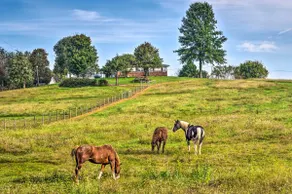 Mammoth Cave Rental on 50 Acres: Shared Amenities - Image 3