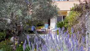 Casa Linda au calme avec jardin à 900 m plage port et centre de Calvi - Image 2