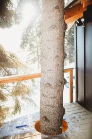 Raven*Modern*Treehouse*Hot tub* - Image 5