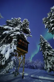 Raven*Modern*Treehouse*Hot tub* - Image 3