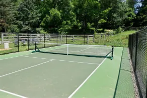 Pool HotTub Pickleball Golf Arcade Firepit Fishing - Image 3