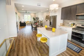 Haynie's Charmer - 3 BR NEW CONSTRUCTION Modern! - Image 4
