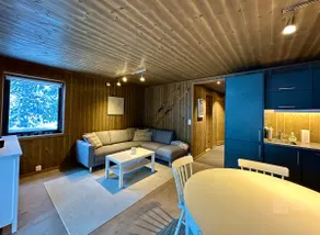 Sjusjøen ski in out, ski storage, Wifi, grill & fireplace, modern apartment! - Image 2