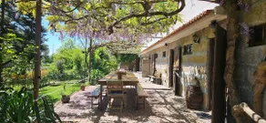 Casa da Alvarinha. Privacy, Comfort, Nature - Image 3