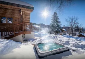 Les Gets ski for 8 spa and garden - Image 3