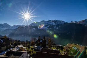 Chalet Sterndolde - Alpine Holiday Services - Wengen - Image 3