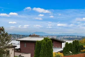Pet-Friendly Lake Washington Views | Lake Forest - Image 5