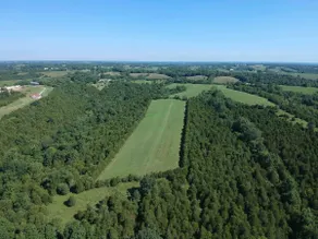 100 Acre Relaxing Retreat Near ARK - The Cottage - Image 4