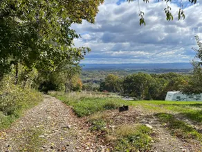 Owl's Nest: A Pet-Friendly  Nature Lover's Getaway near Wineries & Hiking Trails - Image 4