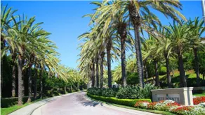 Ritz Pointe Paradise! - Image 3