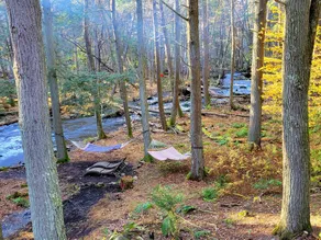 Coziest Creek Cabin- Idyllic, Authentic, Poconos - Image 4