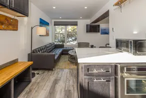 Remodeled studio w/mountain views near Resort - Image 5