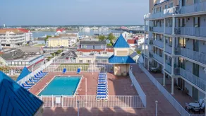 Experience a Seashore Adventure! Book today! - Image 4
