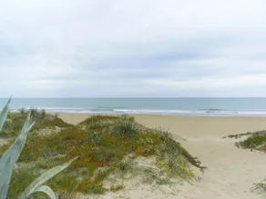 Rustikt och klassiskt feriehus i Denia, på Costa Blanca, Spain för 8 personer - Image 3