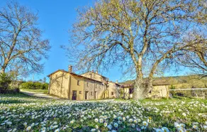 Schönes Haus in San Vito in Monte - Image 2