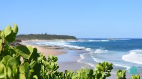 Ebbtide – Spacious Beach House - Pool, Caves Beach - Image 3