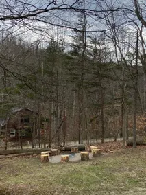 Wildcat Cottage in Hocking Hills - Image 4