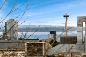 Private Rooftop Patio - Downtown & Space Needle! - Image 2