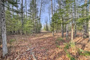 Cornell Home w/ Fire Pit & Hunting Access! - Image 2