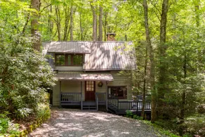 The Dog House - Image 5