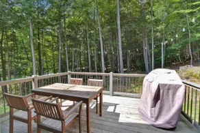 Fireplace, Woods, Club Access - Modern Quechee - Image 4
