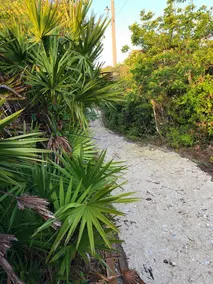 Family Tide Retreat/Heated Pool & 2 Spas - Image 4