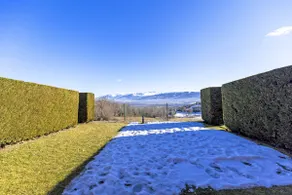 Flateli Olopte - Image 3