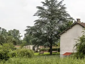 Gîte Mazirat, 4 rooms, 6 people. - Image 3
