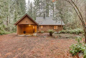 Charming, riverfront cabin with fireplace - dog-fr - Image 2