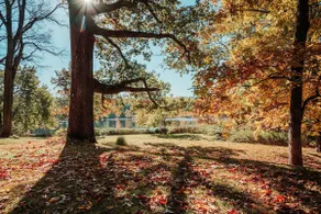 Waterfront Ranch on The Delaware River - Image 3
