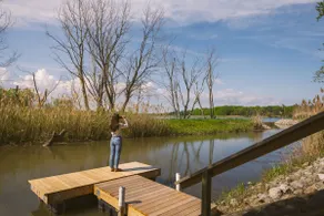 Nature Oasis: Waterfront, Pet-Friendly, Kayaks - Image 5
