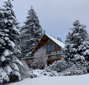 Ocean View Cabin|Beach|Hot Tub|Games|BBQ|EV|Pets - Image 2