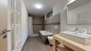 Modern chalet surrounded by nature in Vercorin - Image 4