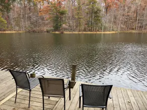 Bear Lair: Luxe cabin, private lake, caves, trails, fast WiFi @ Bear Track Lake - Image 4