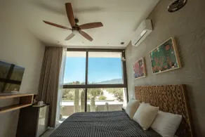 Baja and Kite - Image 4