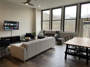 Riverside Loft with Huge Deck on GAP Trail - Image 3