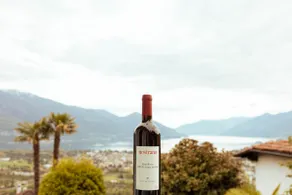 5* House with Panoramic View in Locarno Monti - Image 4