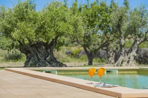 Villa Can Segue - Image 3