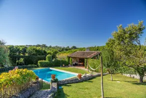 Country Village Senses - Image 3