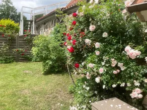 Adorable 3 bedroom guesthouse with pool - Image 3