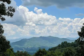 Smoky Mtn Cabin by Cataloochee Valley Elk Viewing! - Image 5