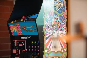Stylish A-Frame Lake Access Pets Arcade Vinyl - Image 3